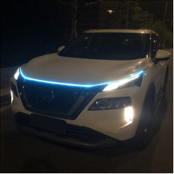 Ice Blue Hood Light