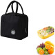 Ladies Insulated Lunch Bags