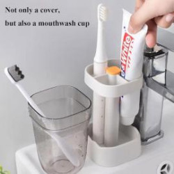 Tooth Brush Organiser